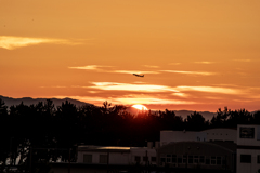 RINKU Sunset_20250811