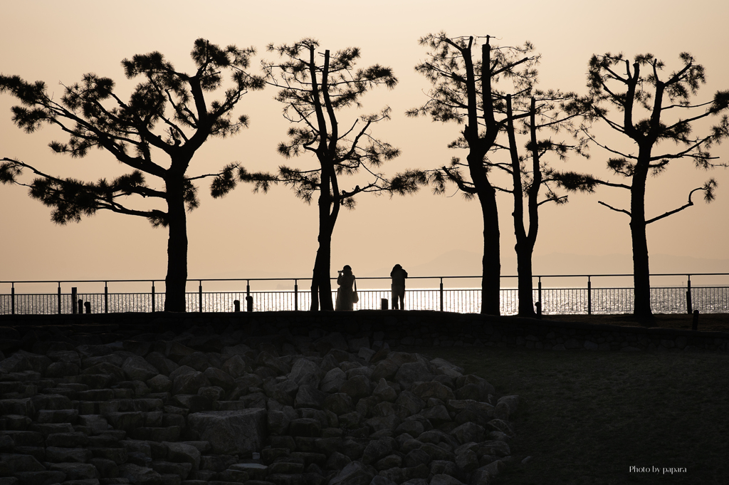 RINKU Sunset_2025082