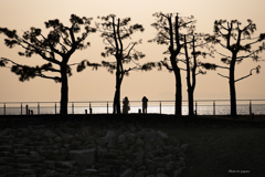 RINKU Sunset_2025082