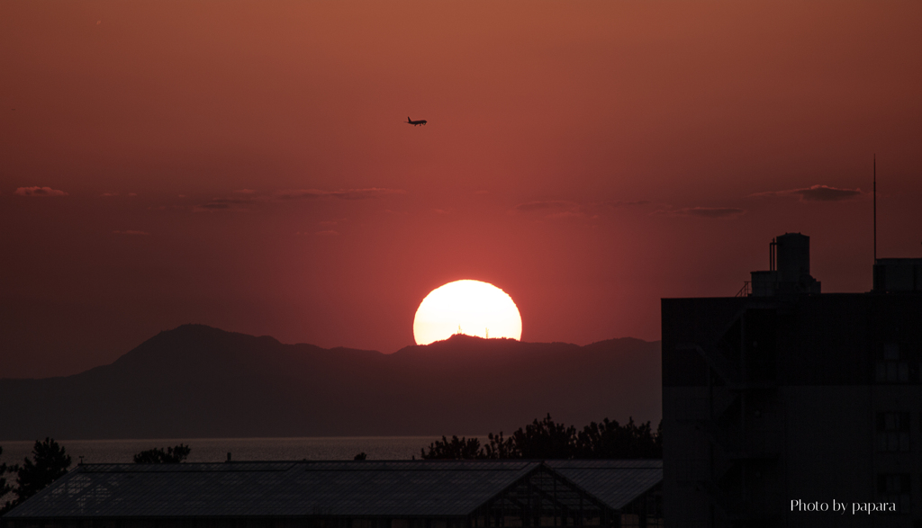 RINKU Sunset_2025099