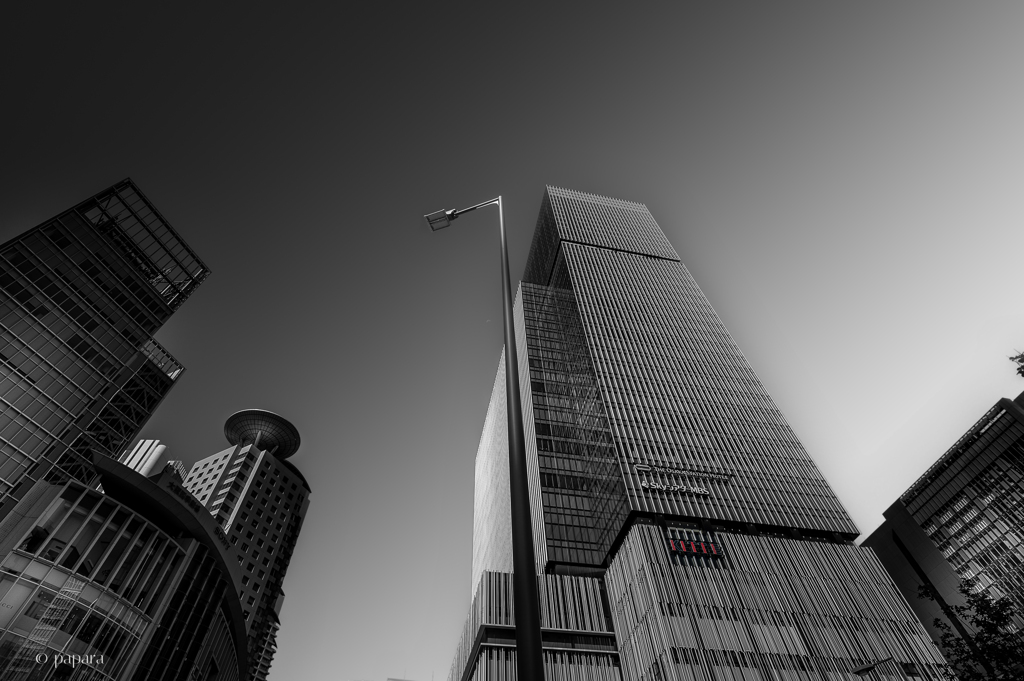 Colourful Black and White_16