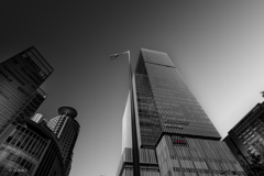 Colourful Black and White_16