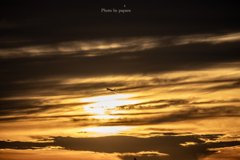 RINKU Sunset_20250911