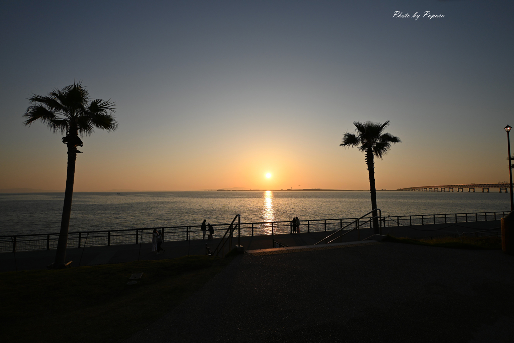 RINKU Sunset_158