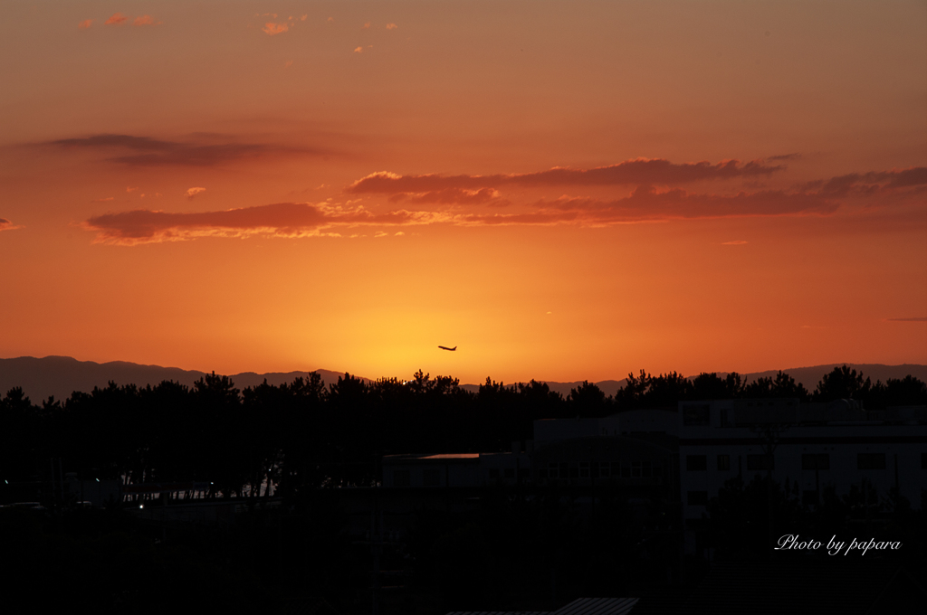RINKU Sunset_20250901