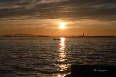 RINKU Sunset_2024183