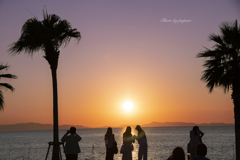 RINKU Sunset_2024286