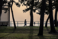 RINKU Sunset_2025123