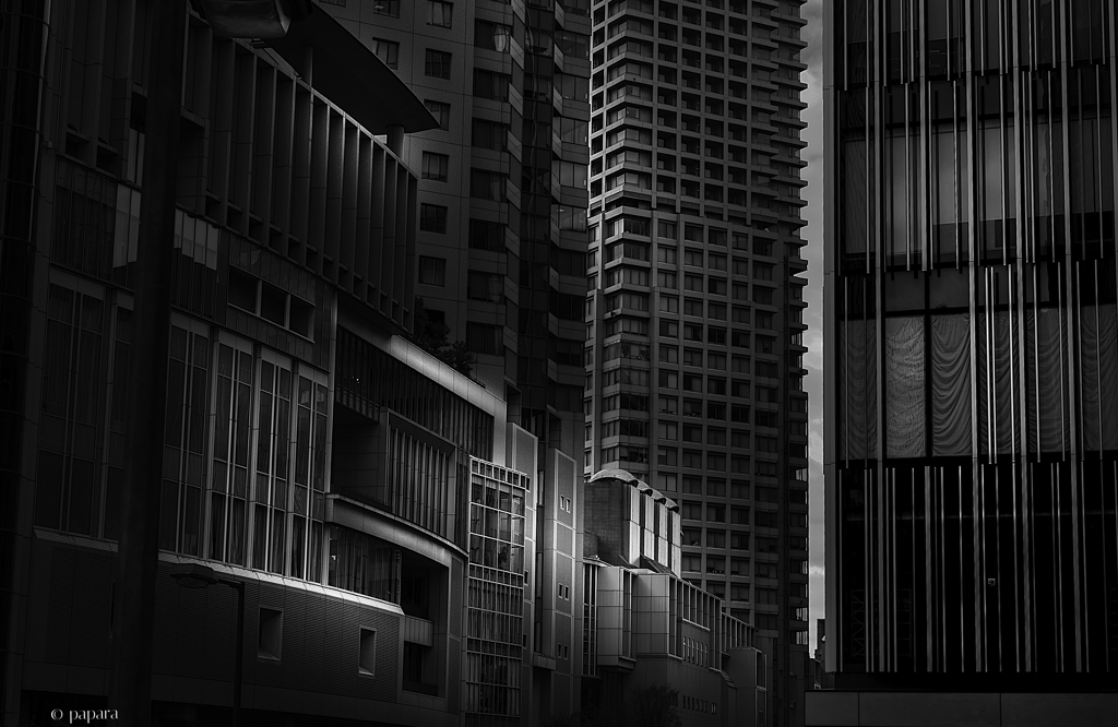 Colourful Black and White_21