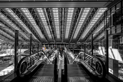 Colourful Black and White_27