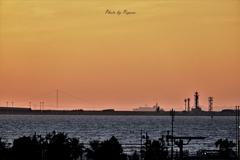 RINKU Sunset_208