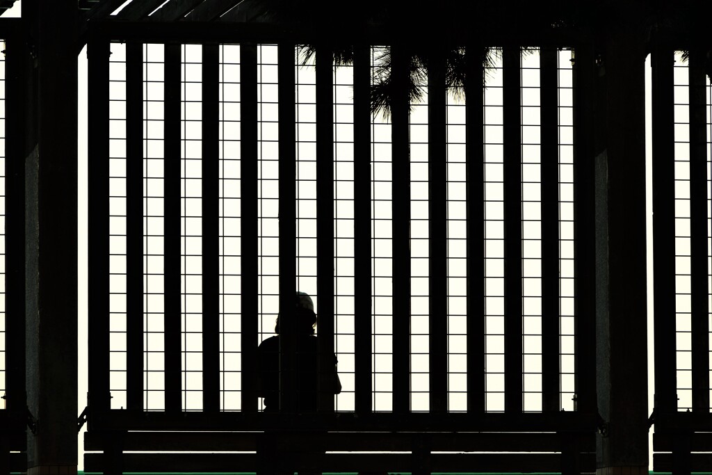 lattice