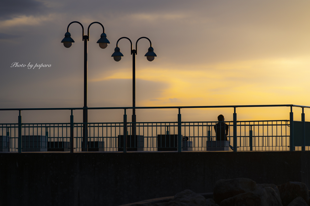 RINKU Sunset_2024276
