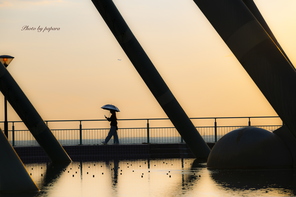 RINKU Sunset_202443