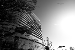 大阪ビジネスパーク_01