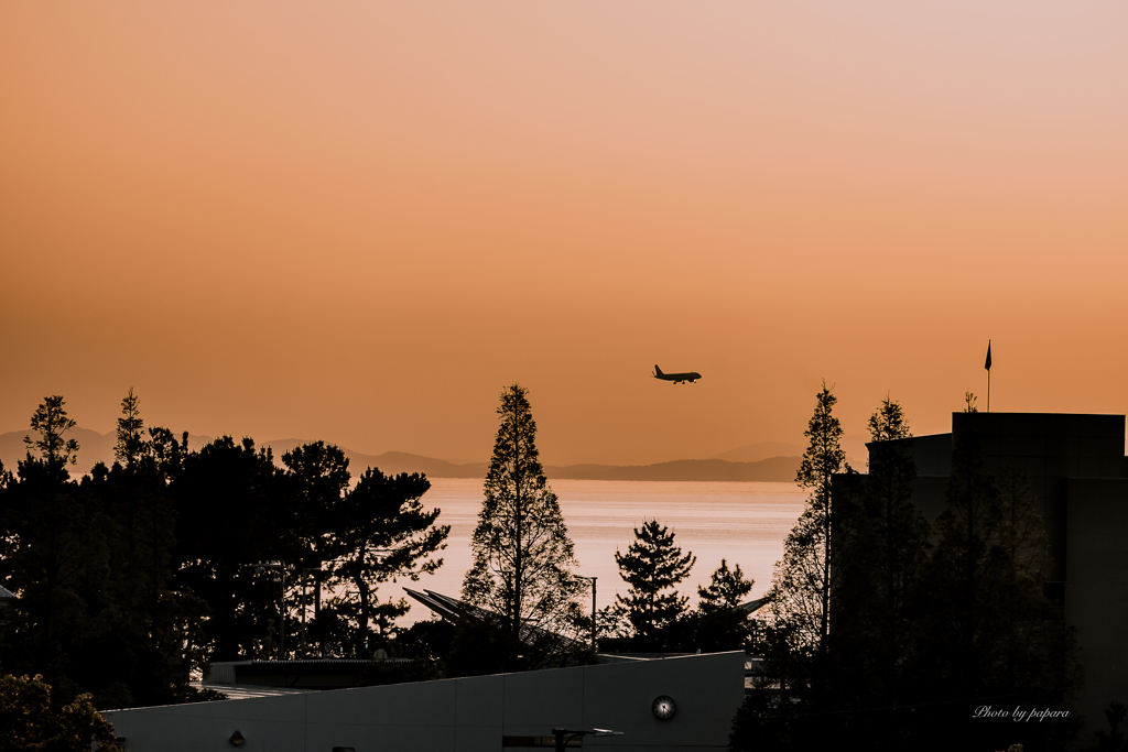 RINKU Sunset_2025127