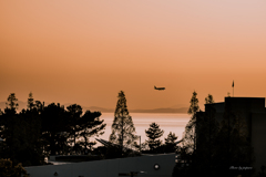 RINKU Sunset_2025127