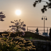 RINKU Sunset_2025197