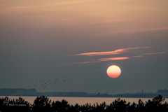 RINKU Sunset_2025193