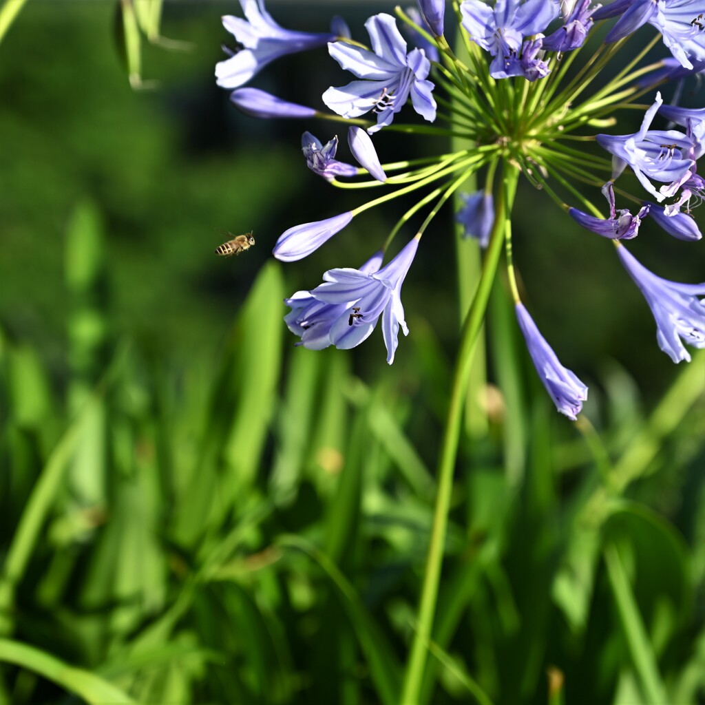 どれにしようかな❣