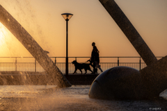 RINKU Sunset_20251207