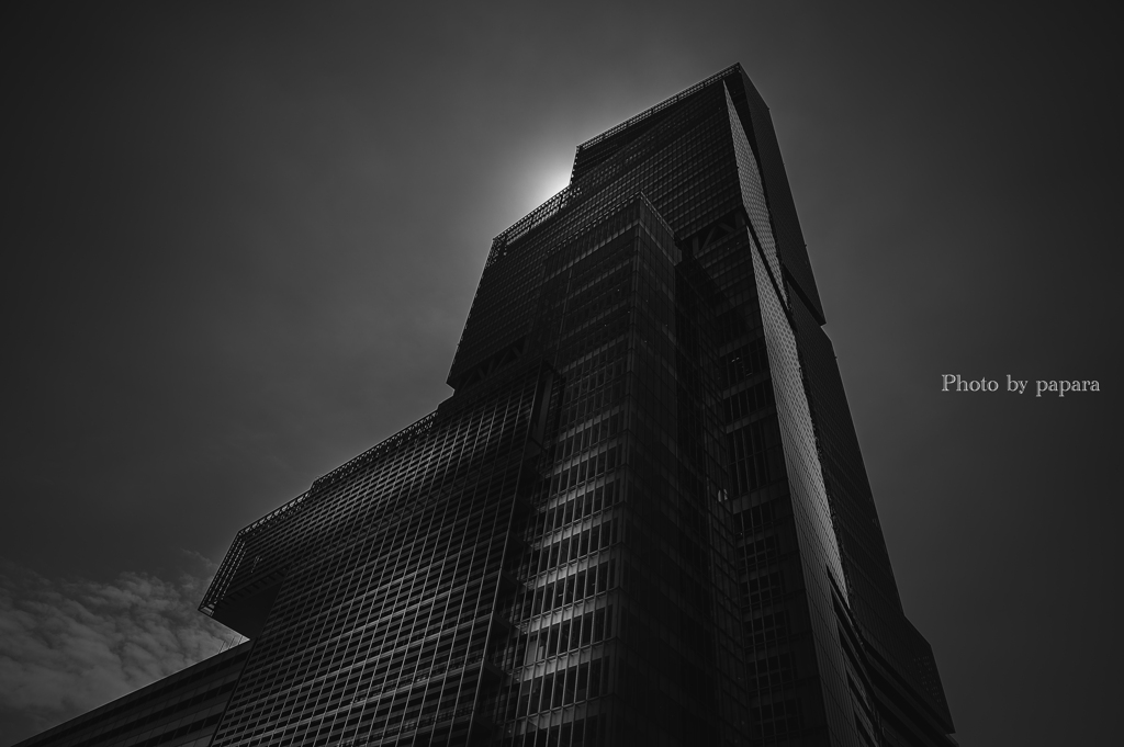 Colourful Black and White_26