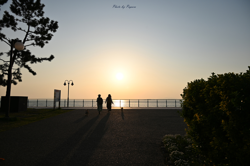 RINKU Sunset_93