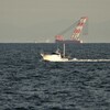 crane vessel