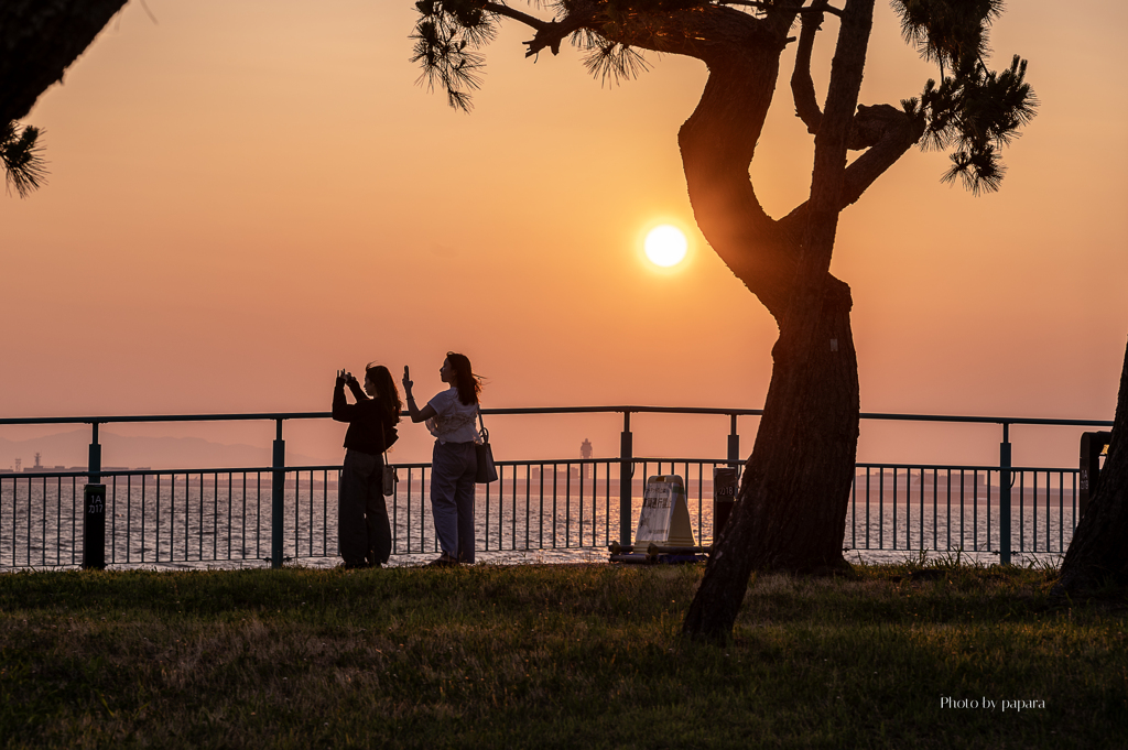 RINKU Sunset_2025201