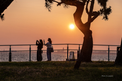 RINKU Sunset_2025201