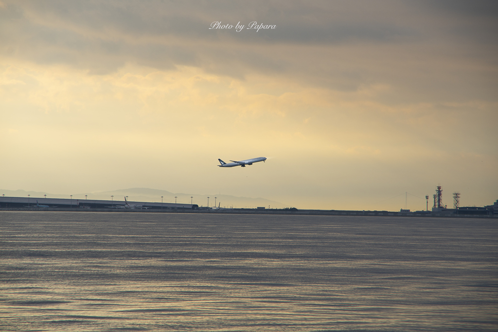 RINKU Sunset_2024203