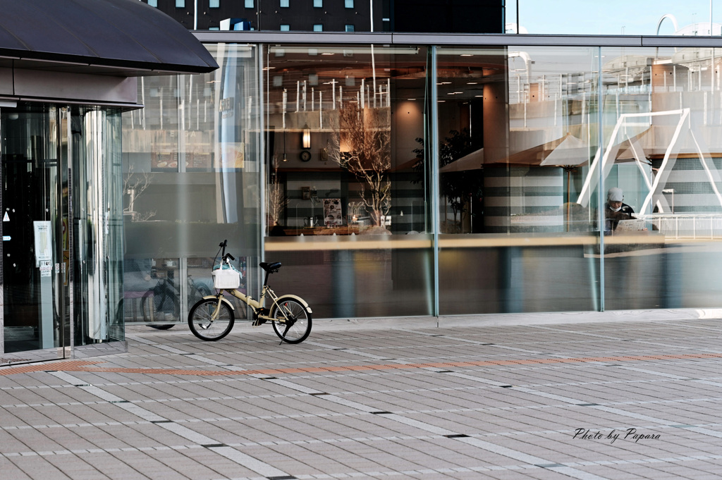 walking course_02