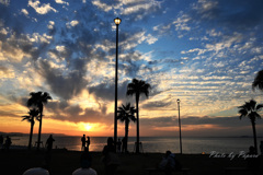 リンクウシーサイドからのお便り_17