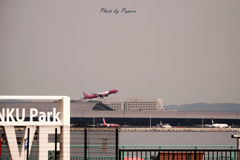 関西空港よりお便り_ 11