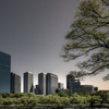 Architecture_08