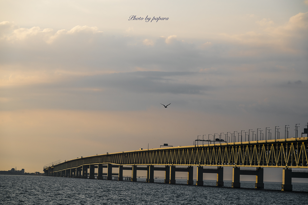 RINKU Sunset_2024253