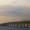 RINKU Sunset_2024253