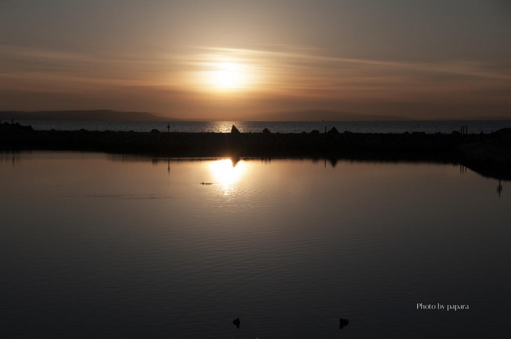 RINKU Sunset_2025037