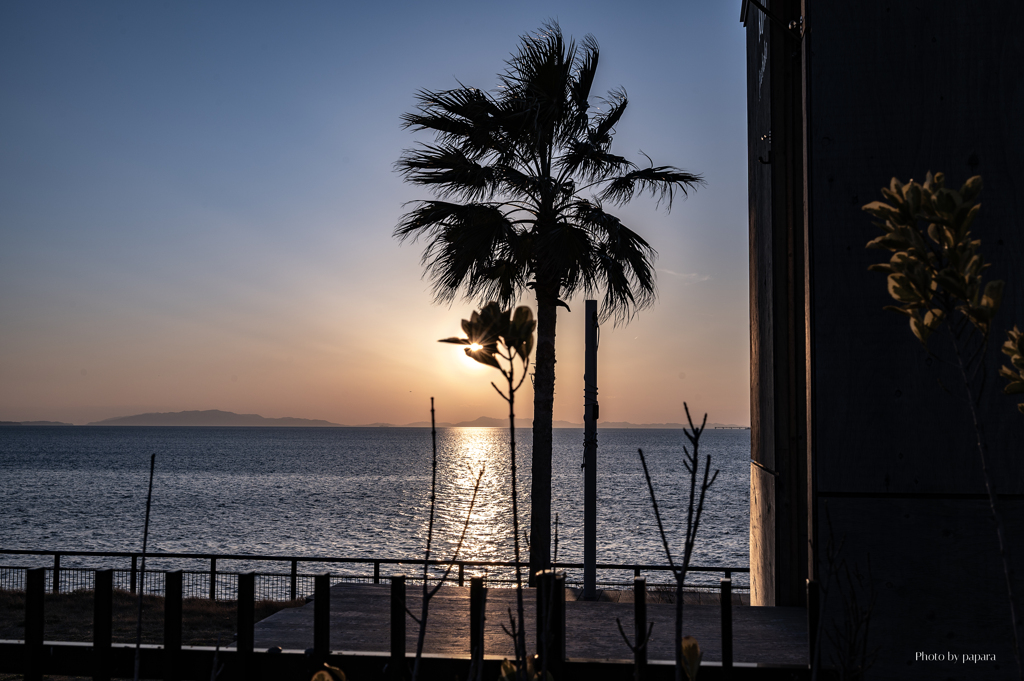 RINKU Sunset_2025079