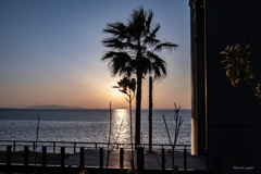 RINKU Sunset_2025079
