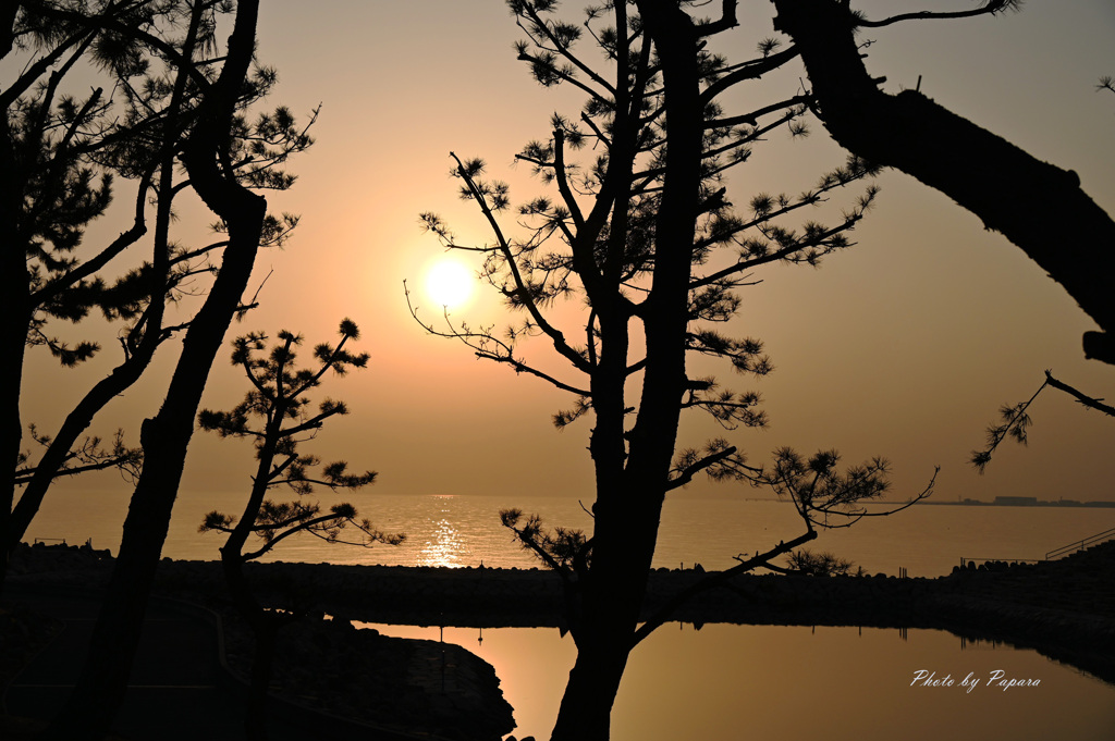 RINKU Sunset_68