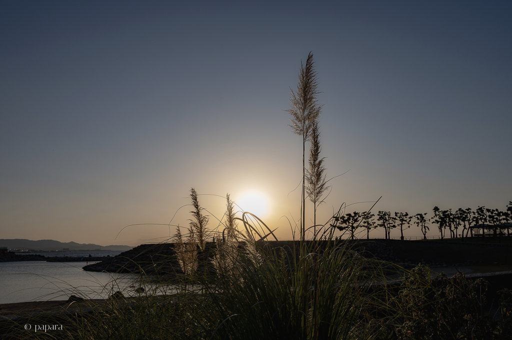 RINKU Sunset_20251203