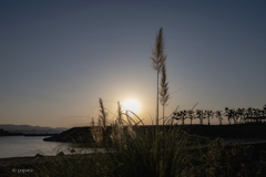 RINKU Sunset_20251203