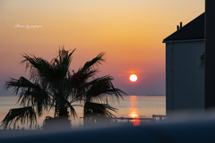 RINKU Sunset_2024264