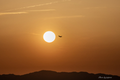 RINKU Sunset_2025143