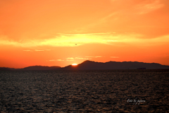 RINKU Sunset_282