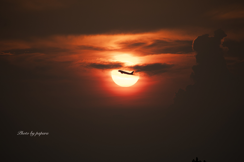 RINKU Sunset_2024242