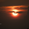 RINKU Sunset_2024242