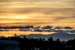 RINKU Sunset_20250906