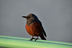 待ち合わせスポット